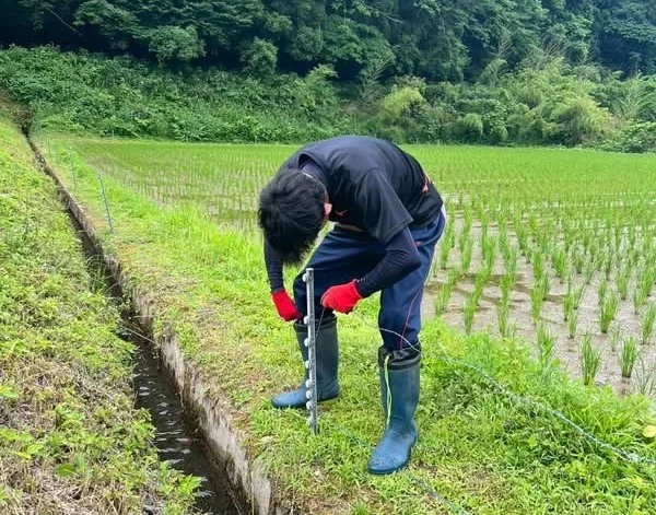 農村ボランティア２